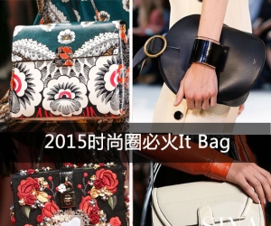 2015时尚圈必火It Bag