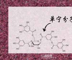 葡萄酒单宁究竟是何方神圣？