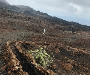 世界潜水终极目的地 加拉帕戈斯漂浮记