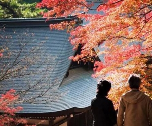 京都私藏的这些红叶胜地让人惊叹不已