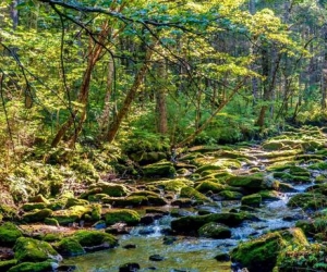 越是夏天 越是不能去的7个地方