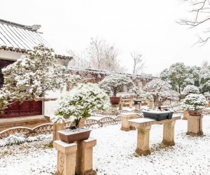 一下雪 苏州就成了姑苏