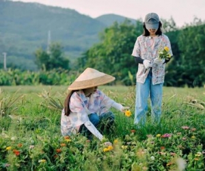 夏日消暑神器 除了冰镇西瓜还有花衬衫！