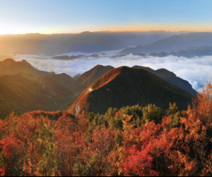 三峡红叶季马上登场 国内冷门赏枫天花板