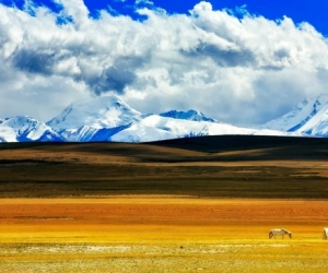 一定要来一趟西藏 看一看不同的世界