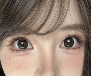 看《疯狂动物城2》也能启